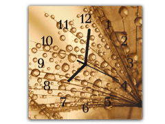 Glasdekor Nástěnné hodiny 30x30cm padáky pampelišky s rosou na hnědém pozadí - Materiál: kalené sklo