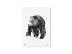 Plakát s motivem medvěda Gentle bear 50x70