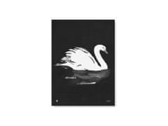 Plakát s motivem labutě Swan 50x70