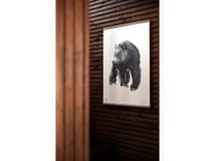 Plakát s motivem medvěda Gentle bear 50x70