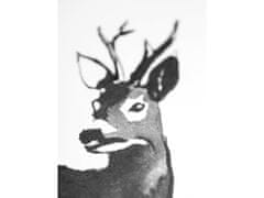 Plakát s motivem srnce Roe Deer 50x70