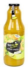 Ovoce na limonádu - Citrus mix & máta 1 000 ml