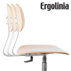 Průmyslová židle ERGOLINIA 10004