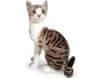 BÍLOMOUROVATÁ kočička Micinka, 46 cm