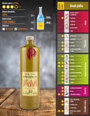 Ami Honey Medovina Dwójniak AM 0,75 l v kameninové láhvi | Med víno medové víno | 750 ml | 16 % alkoholu