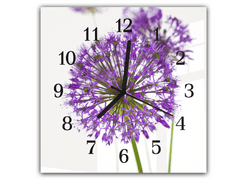Glasdekor Nástěnné hodiny 30x30cm fialový květ allium na bílém pozadí - Materiál: plexi