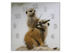 Glasdekor Nástěnné hodiny 30x30cm dvě surikaty na kameni - Materiál: kalené sklo