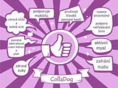 CollaDog KNOTS PREMIUM kolagenový žvýkací pamlsek pro psy, vel. 13/2 ks v balení, vyrobeno výhradně z hovězího kolagenu (100%)